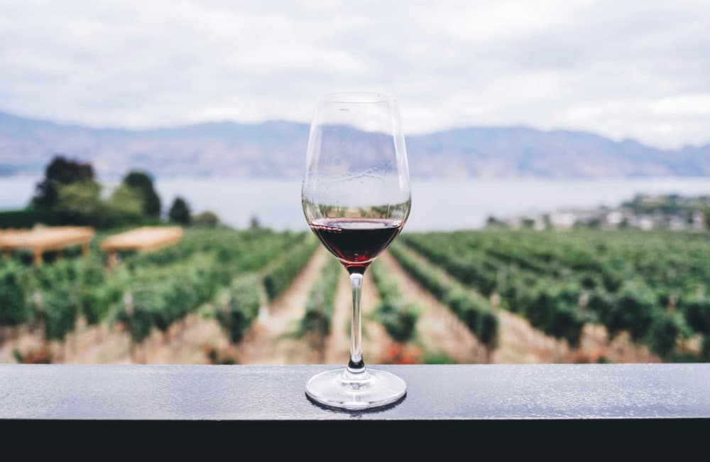 Degustazioni (1) Immagine con bicchiere di vino e vista panoramica su vigneti
